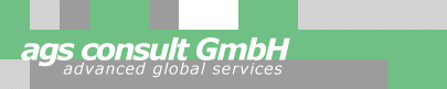 ags consult GmbH